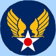 USAAF_patch